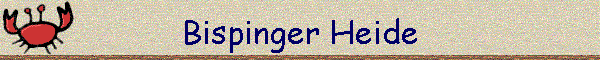 Bispinger Heide