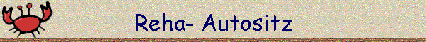 Reha- Autositz