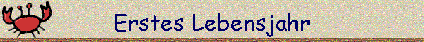 Erstes Lebensjahr