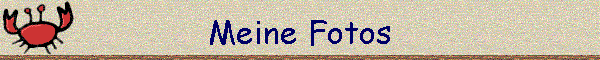 Meine Fotos